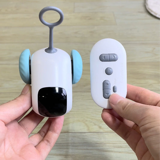 Famous Gravity Speedster Car