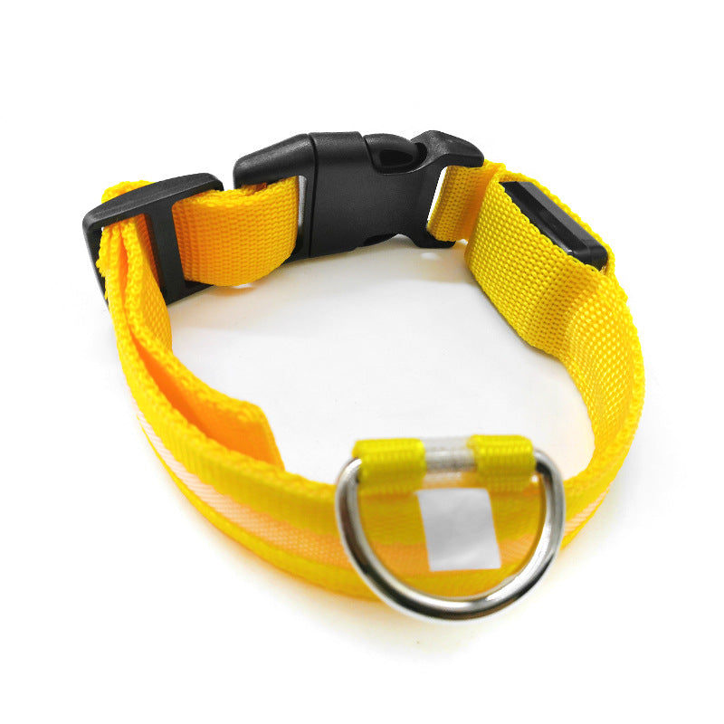 LED light-up collar