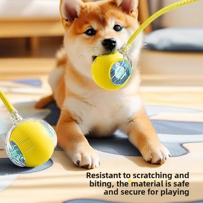 Dog Toy Automatic Walking Ball