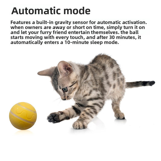 Electric Pet Toy
