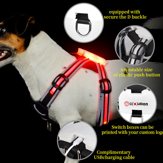 Luminous pet harness