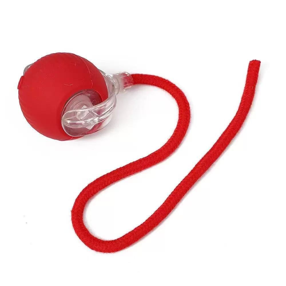 Dog Toy Automatic Walking Ball