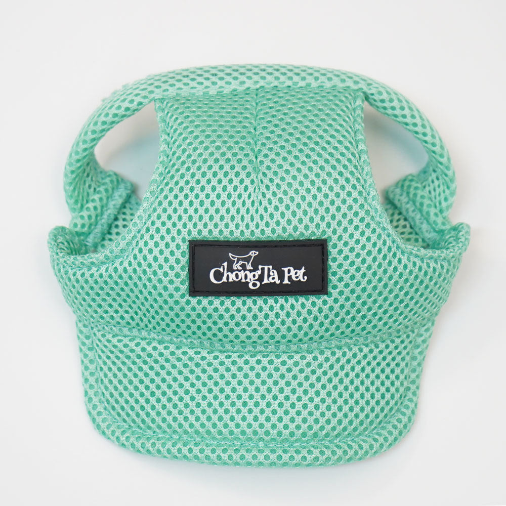 Pet Dog Baseball Cap with Ear Openings