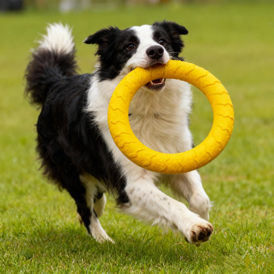 EVA Pet Toy Flying Disc