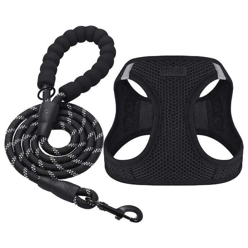 Pet chest and back leash