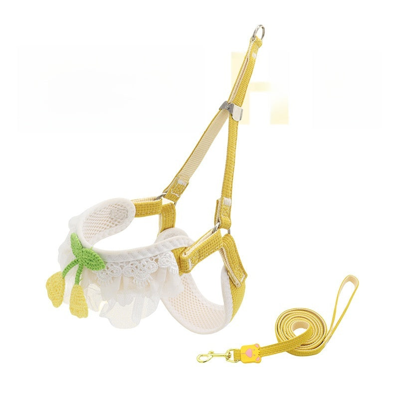 Dog leash for small dogs