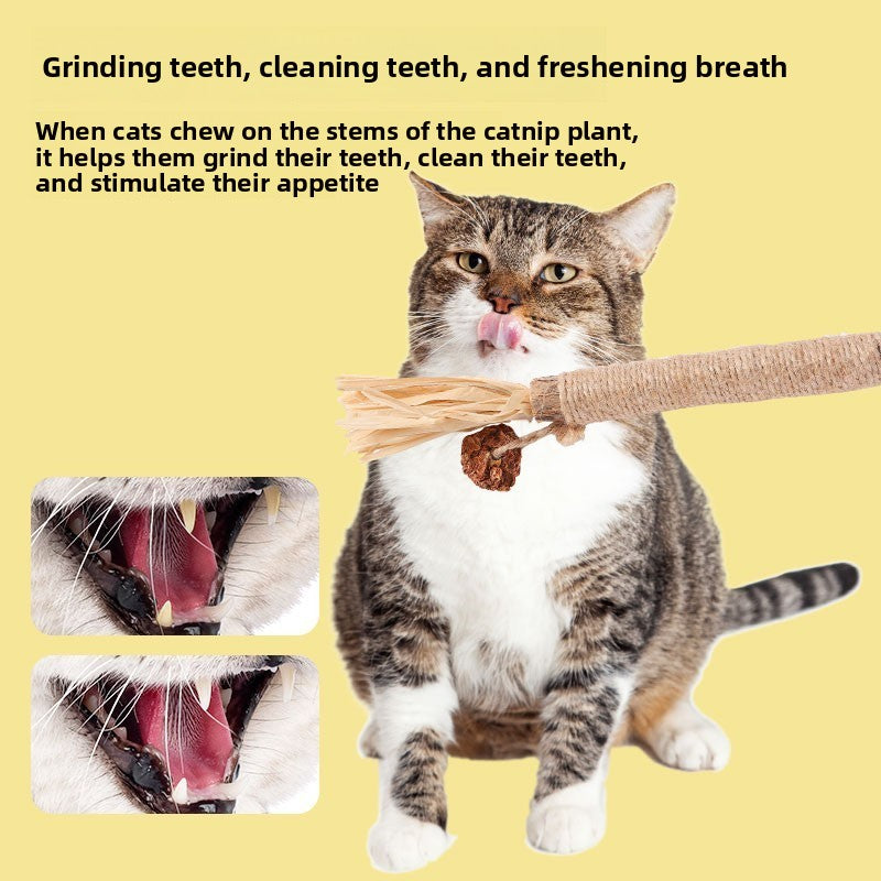 Wooden catnip chew toy for cats