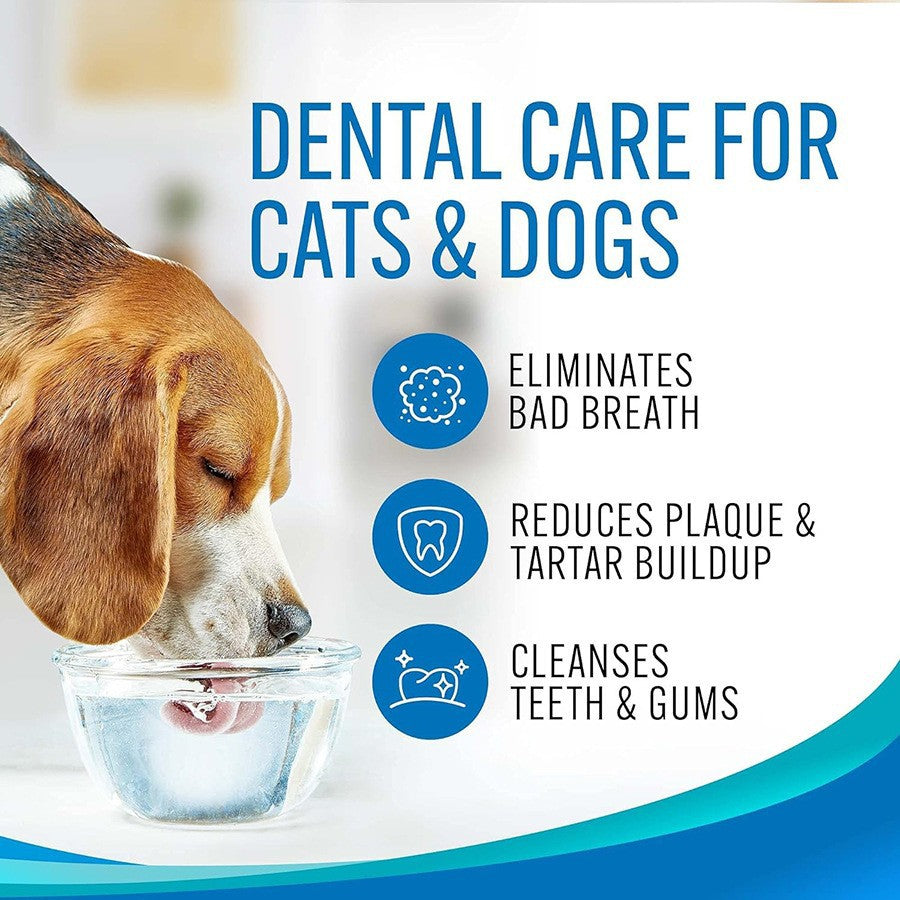 pet mouthwash