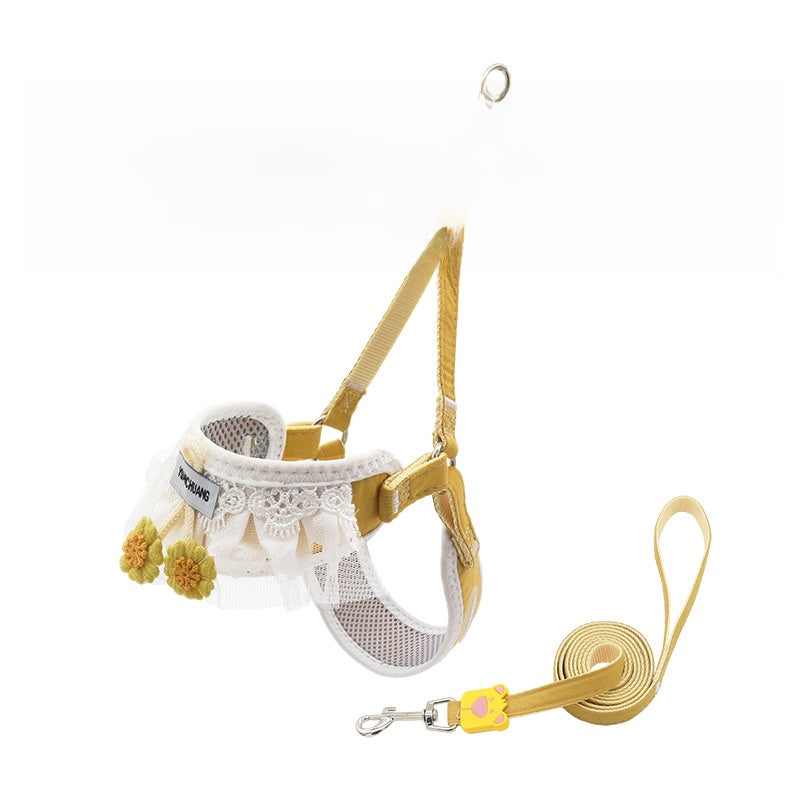 Dog leash for small dogs