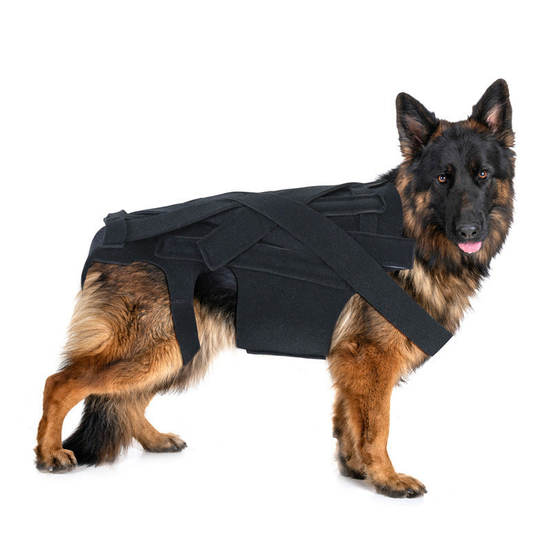 Dog Back Support Vest
