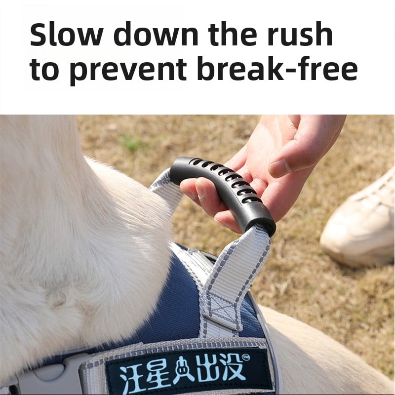 Pet Leash Pet