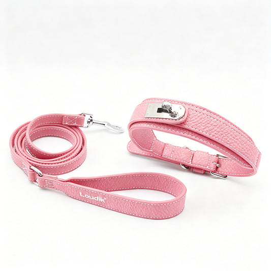 MOQ:200 Leather Dog Collar Leash with Waste Bag