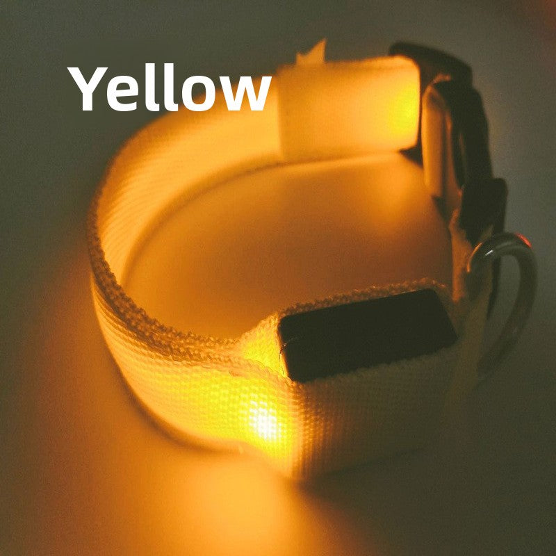 USB Rechargeable LED Pet Safety Collar with Adjustable Sizing