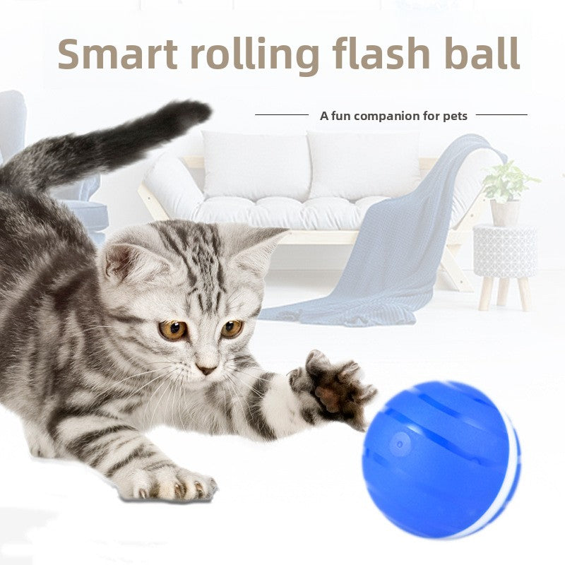 Rolling Cat Toy Ball