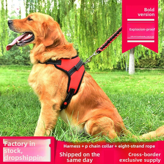 Dog leash, dog chain, chest harness