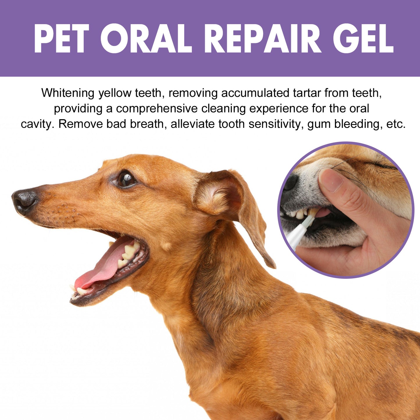 Pet oral care gel deep clean