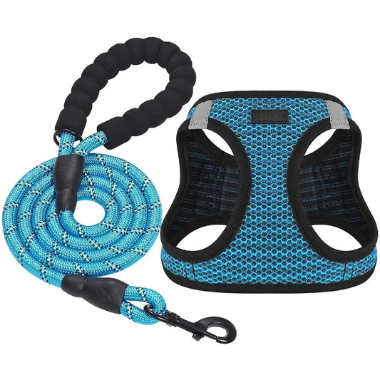 Pet chest and back leash