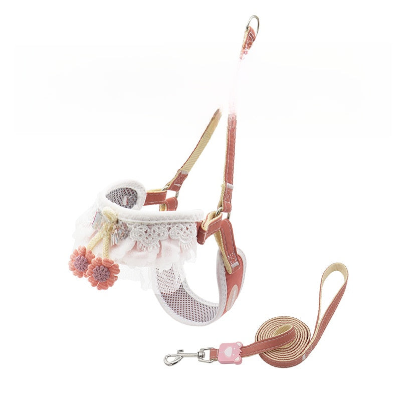 Dog leash for small dogs