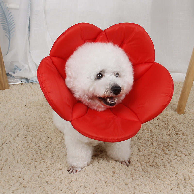 Pet Protective Cover