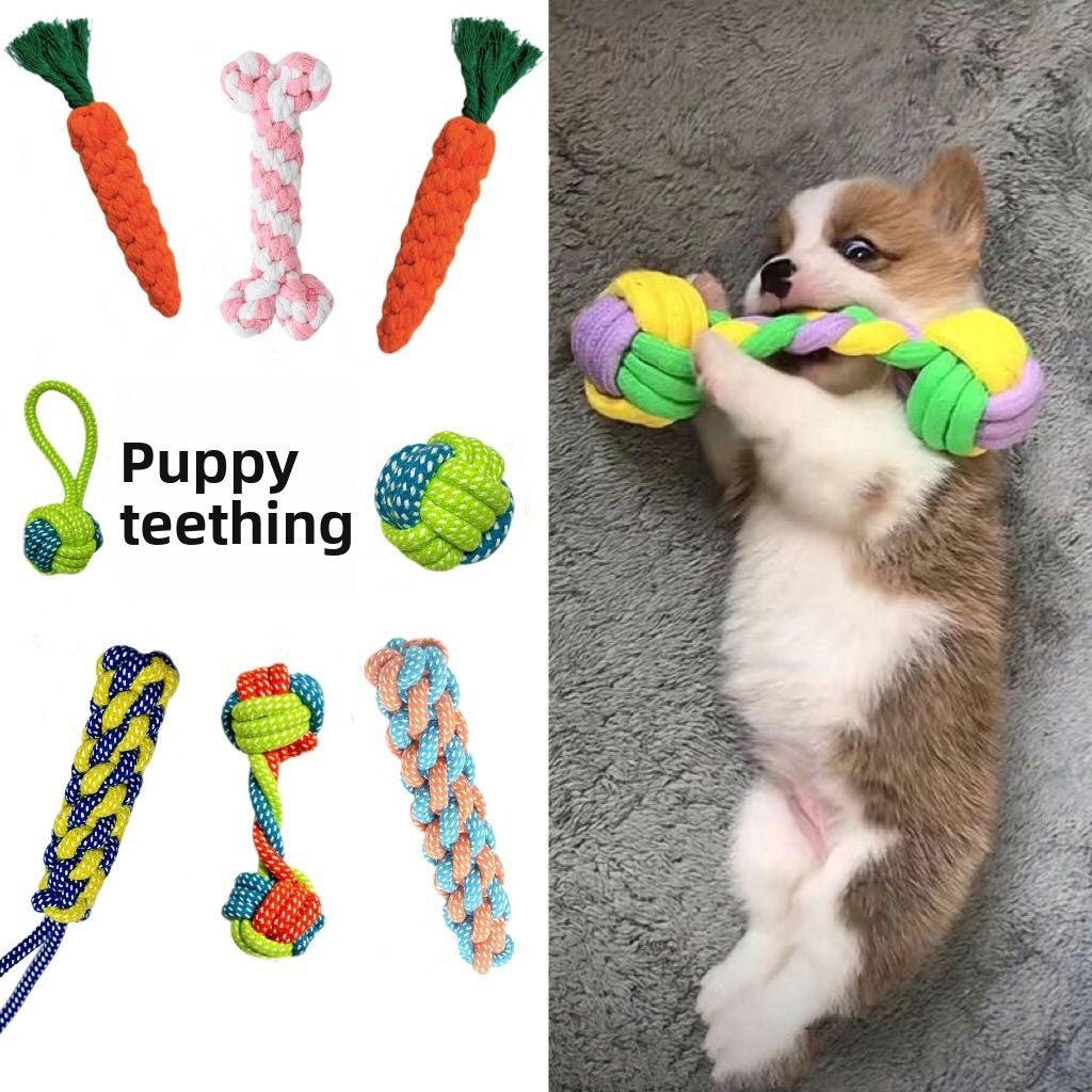 Dog Chew Toys