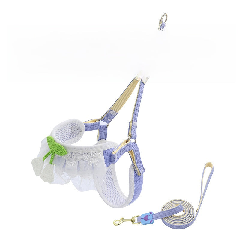 Dog leash for small dogs