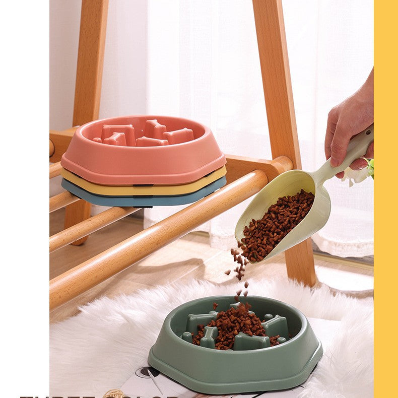 Pet Feeding Bowl