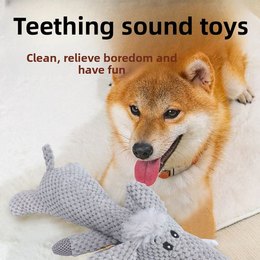 Pet Squeaky Toys