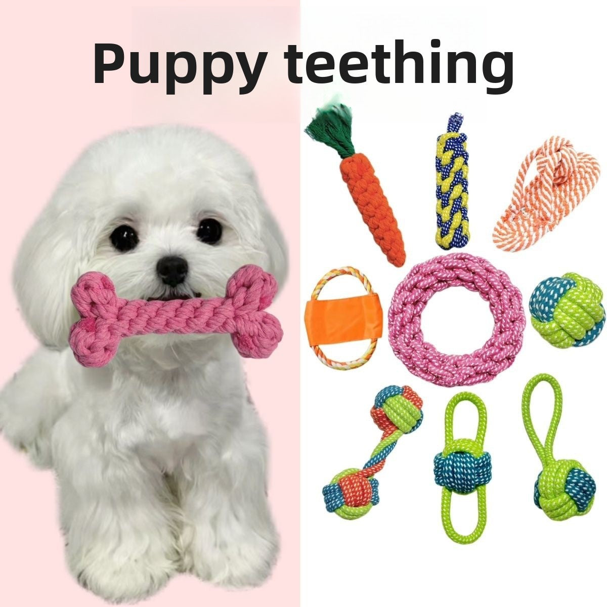 Dog Chew Toys