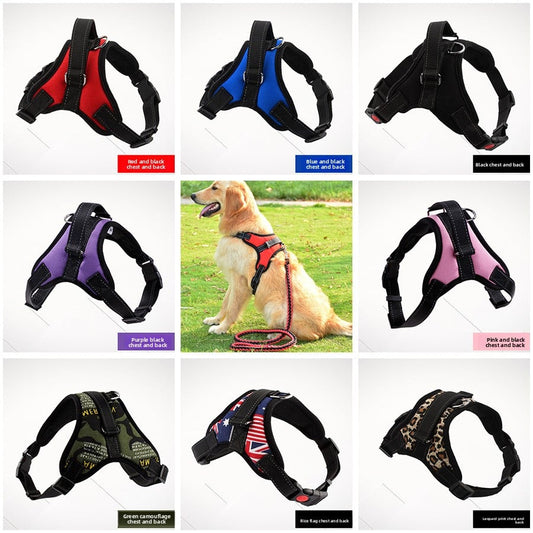 Dog leash, dog chain, chest harness
