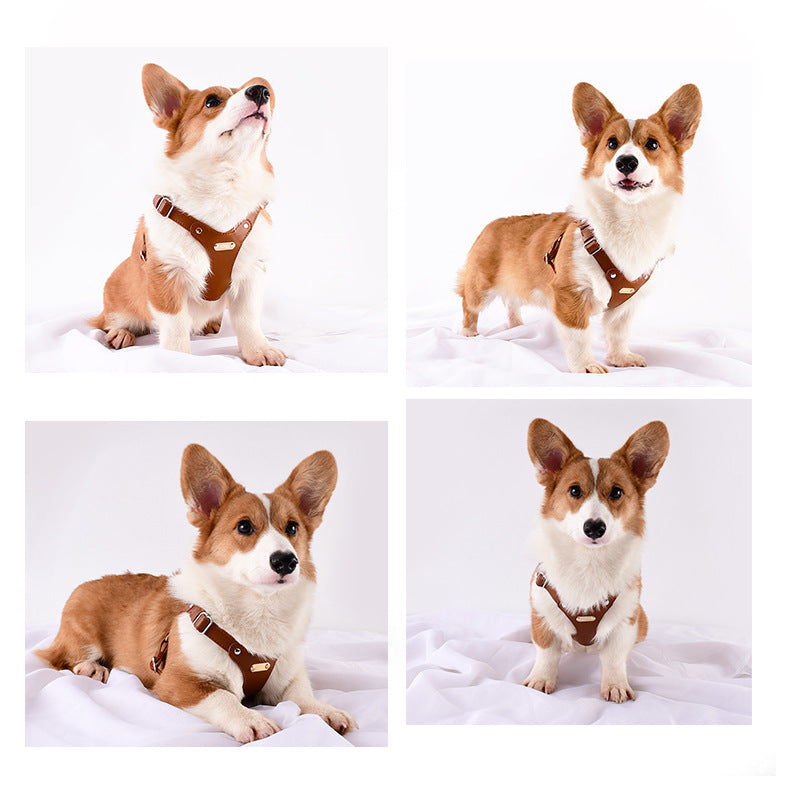 Soft Leather Dog Harness and Leash Set