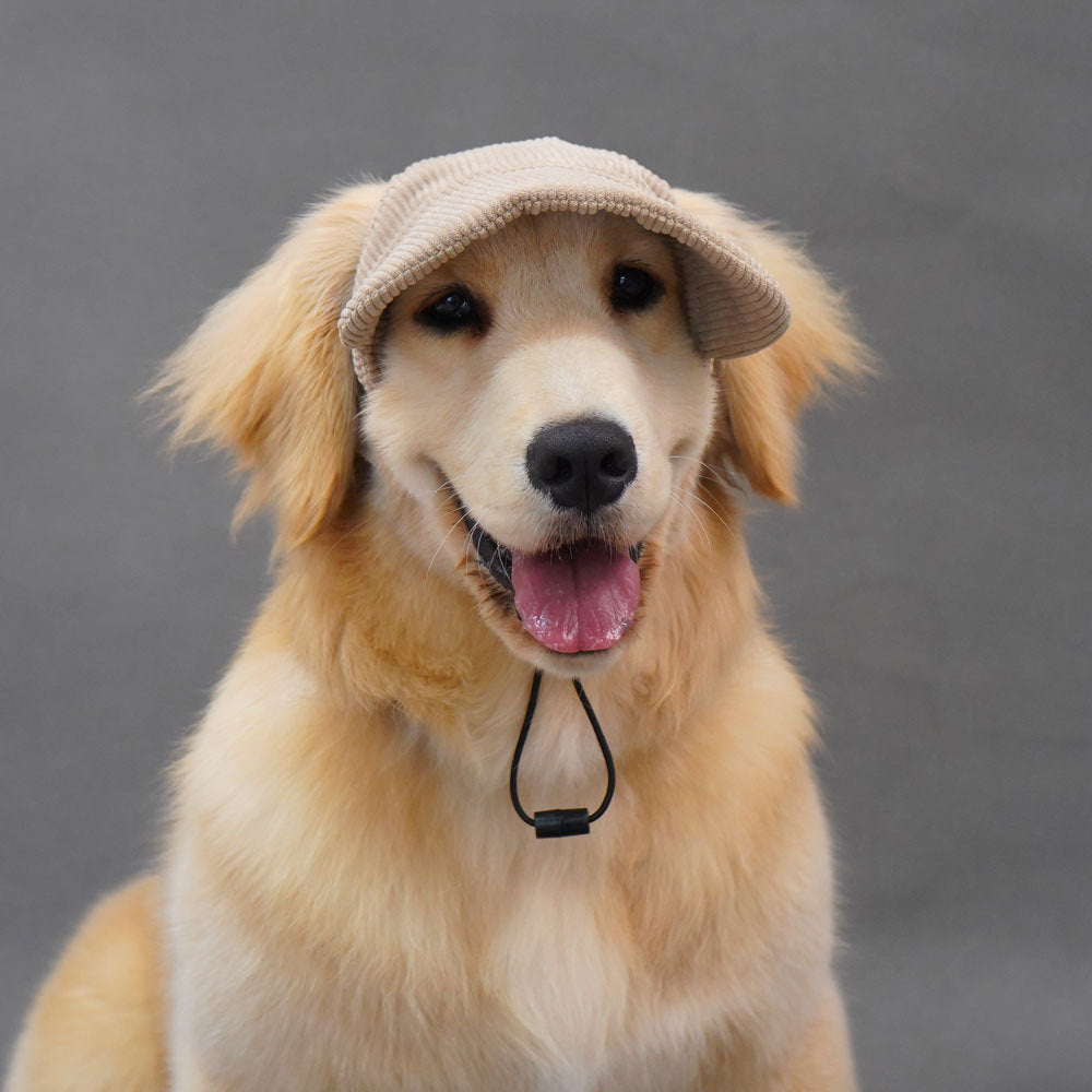Pet Dog Baseball Cap with Ear Openings
