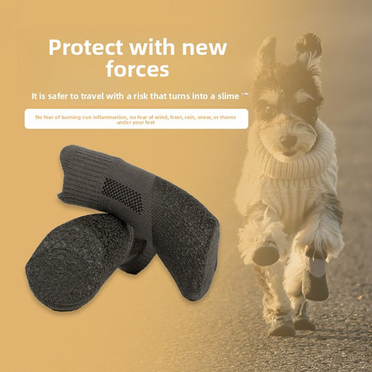 Pet protection shoes