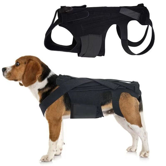 Dog Back Support Vest