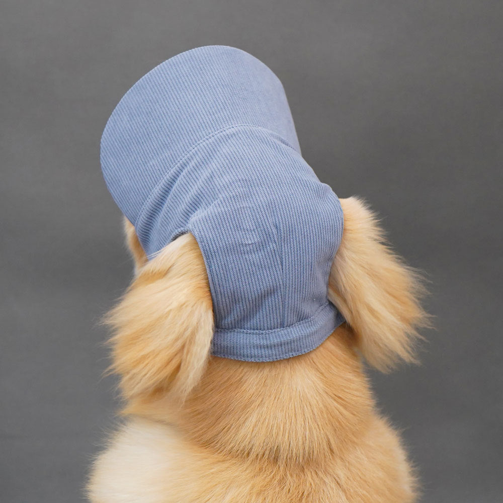 Pet Dog Baseball Cap with Ear Openings
