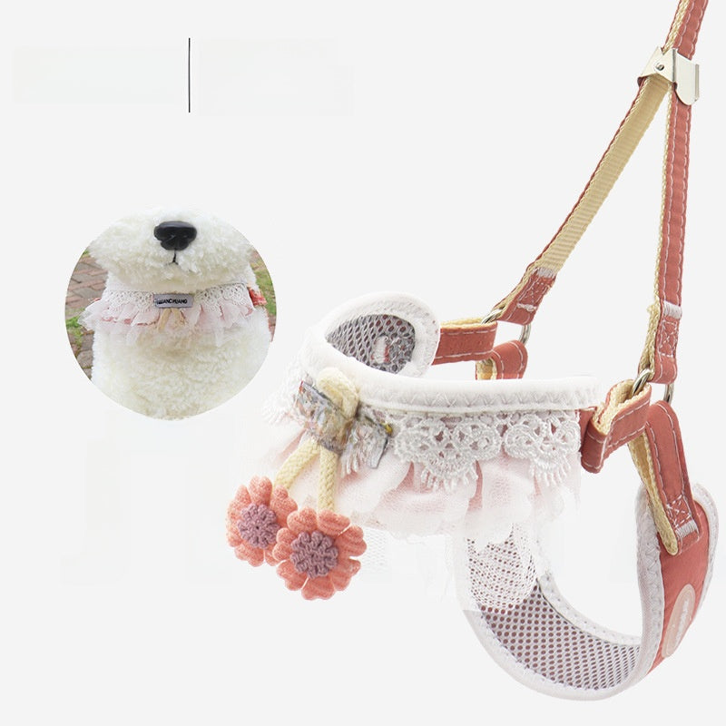 Dog leash for small dogs