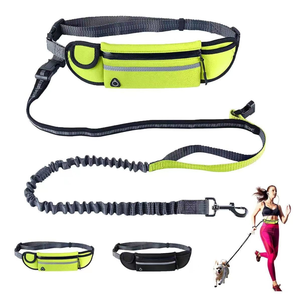 Pet belt leash
