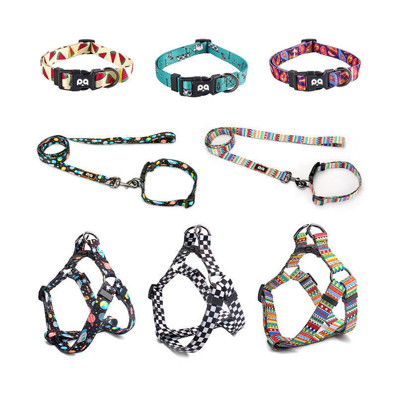 Pet dog collar chest and back leash