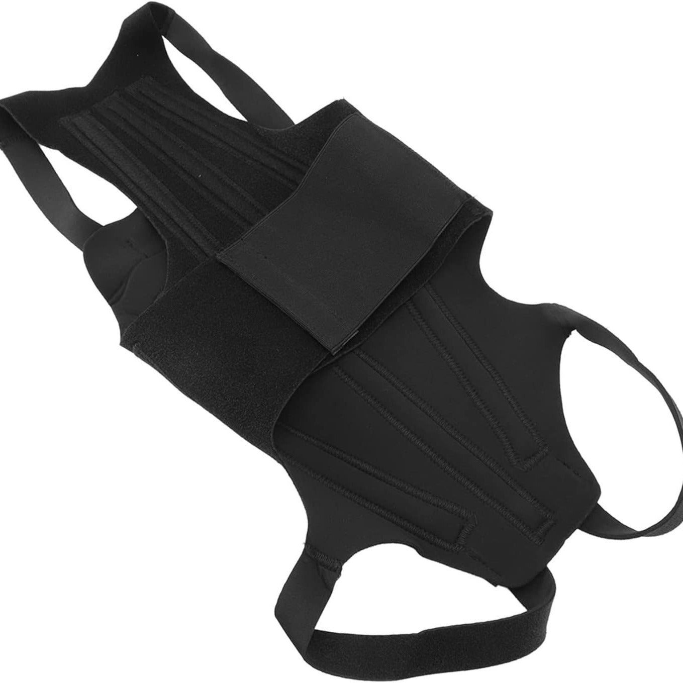Dog Back Support Vest