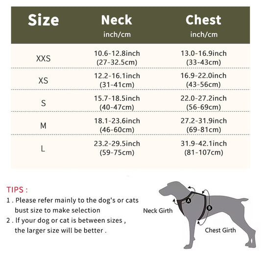 Pet chest and back harness