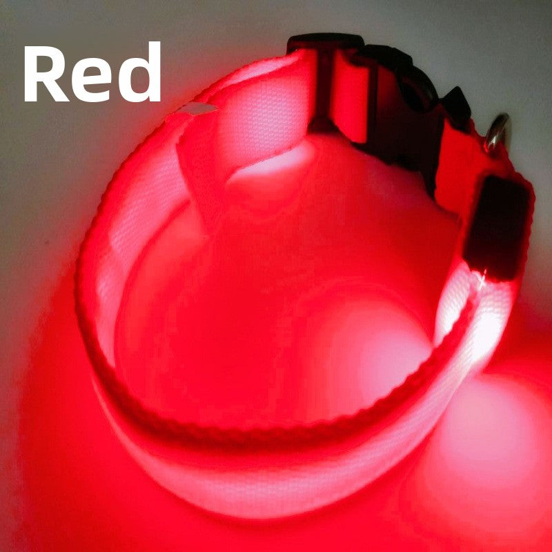 USB Rechargeable LED Pet Safety Collar with Adjustable Sizing