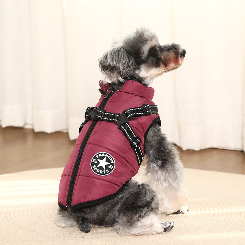 pet dog jacket