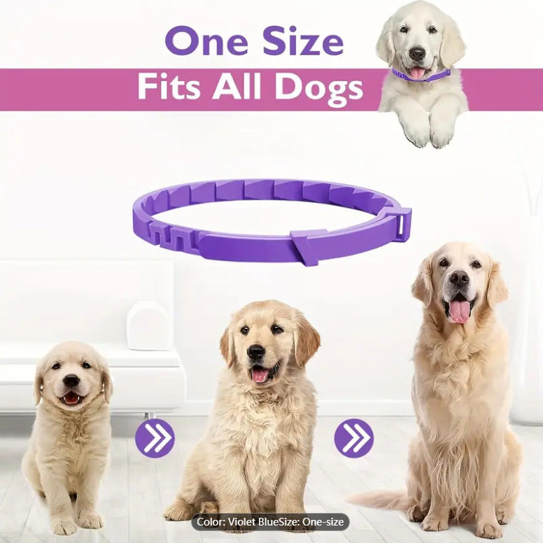 pet calming collar