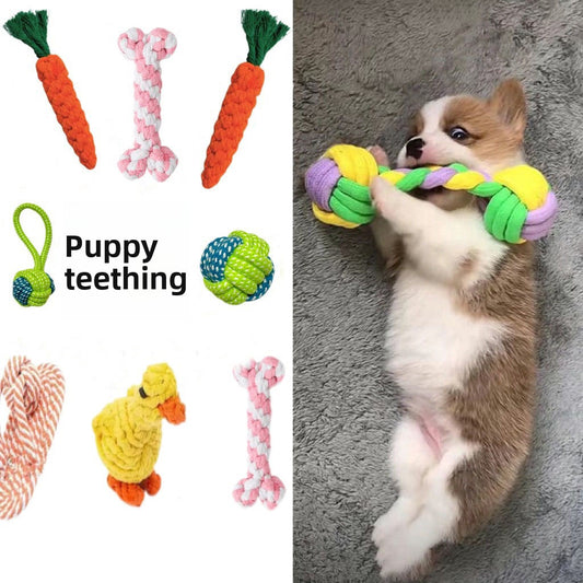 Dog Chew Toys