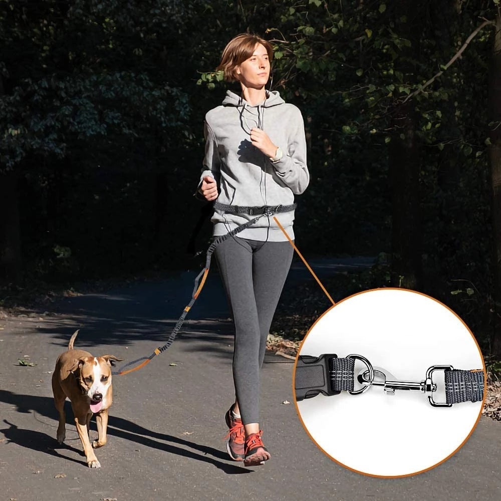 Adjustable Hands-Free Dog Leas