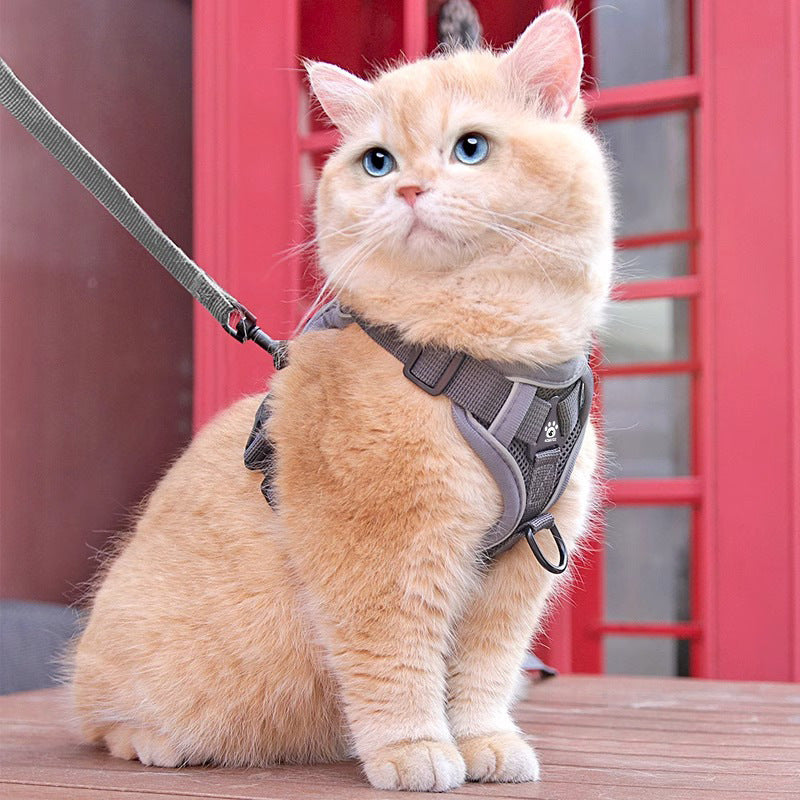 Vest Cat Traction Rope