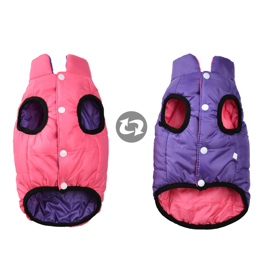 Dog winter coat for warmth and cold protection