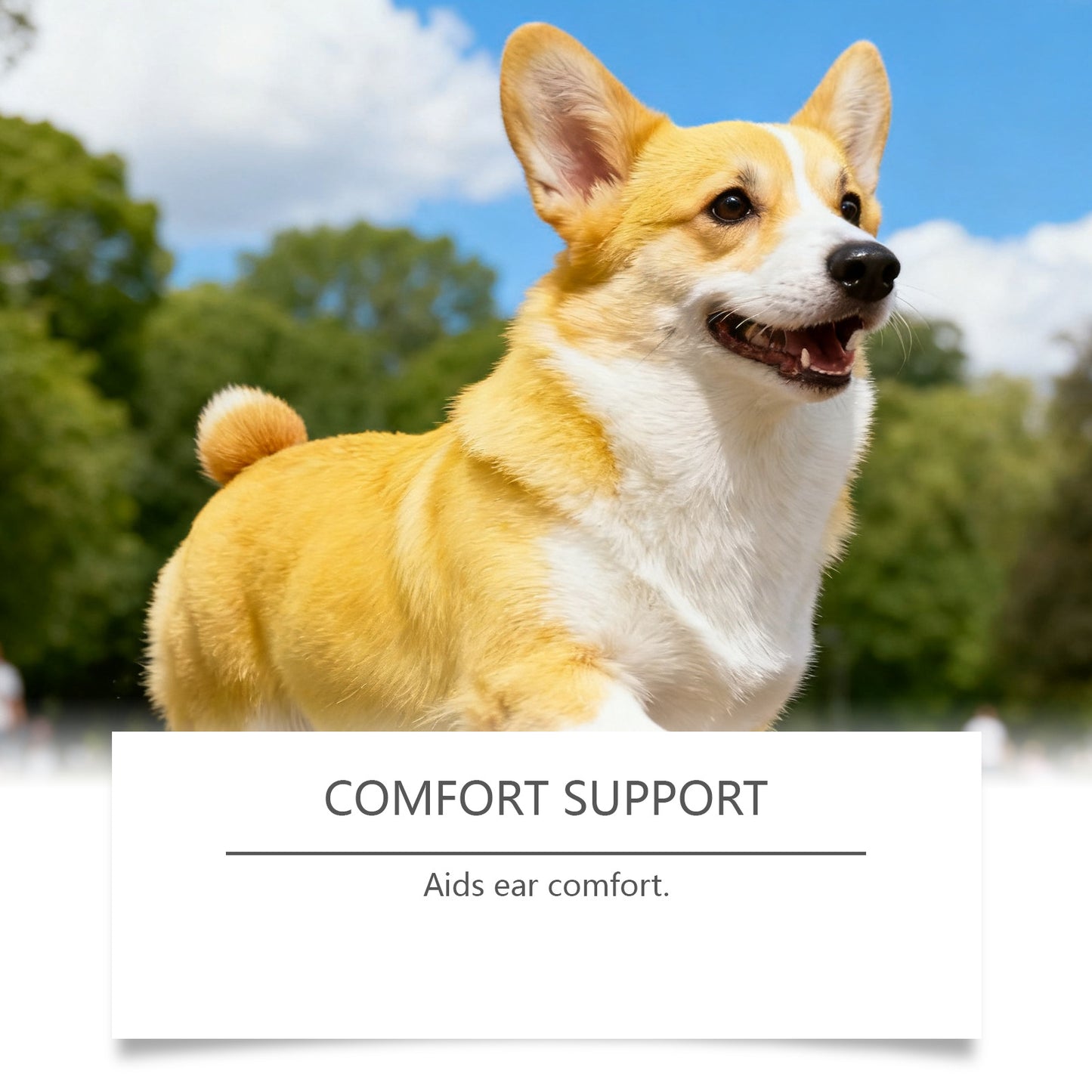 Dog ear cleaning solution