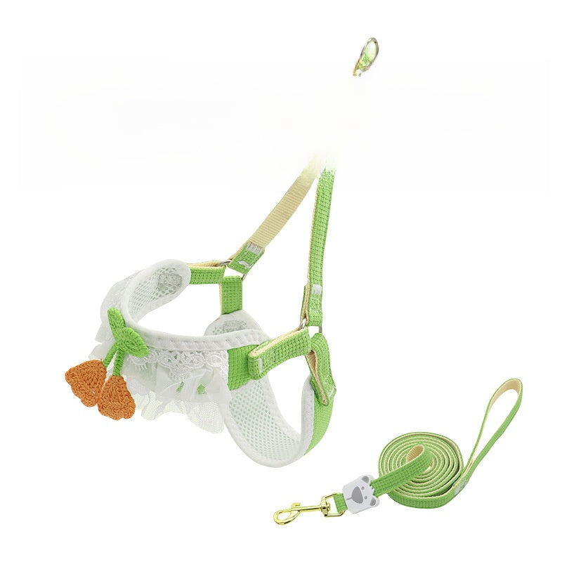 Dog leash for small dogs