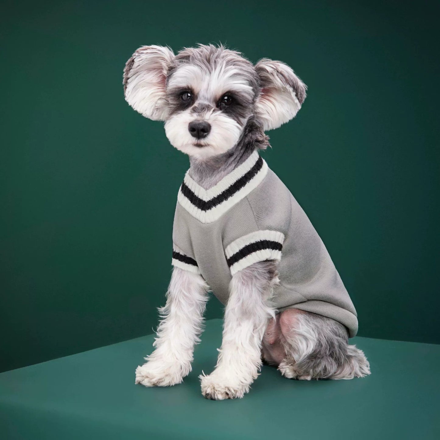 Pet clothing - Knitted winter and autumn jackets