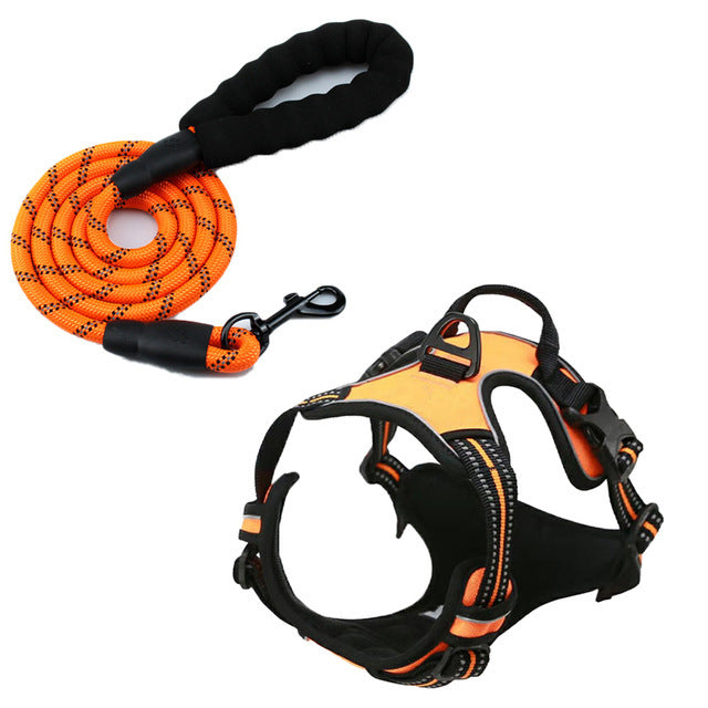 Pet Harness Leash